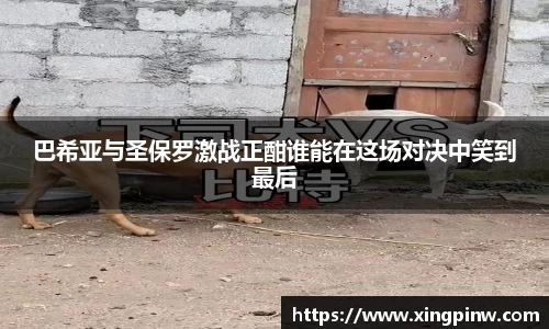 巴希亚与圣保罗激战正酣谁能在这场对决中笑到最后